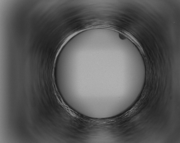 X0000052640956200507160153