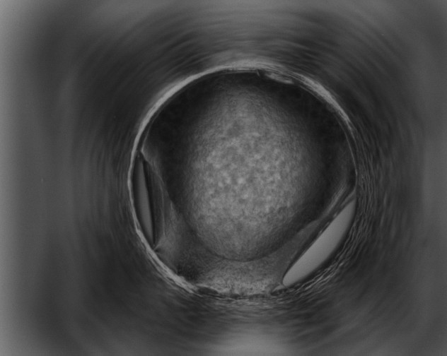 X0000052640959200507160153