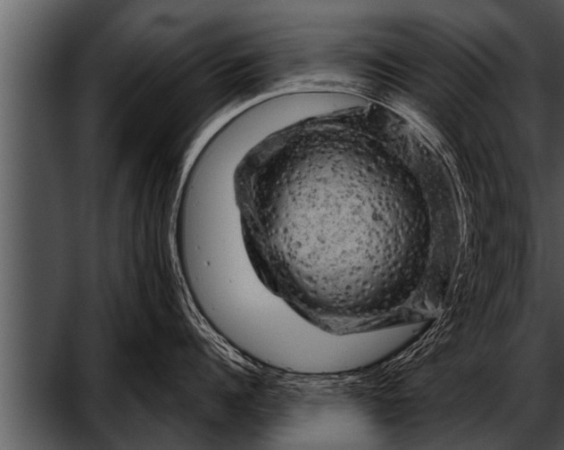 X0000052640960200507160153