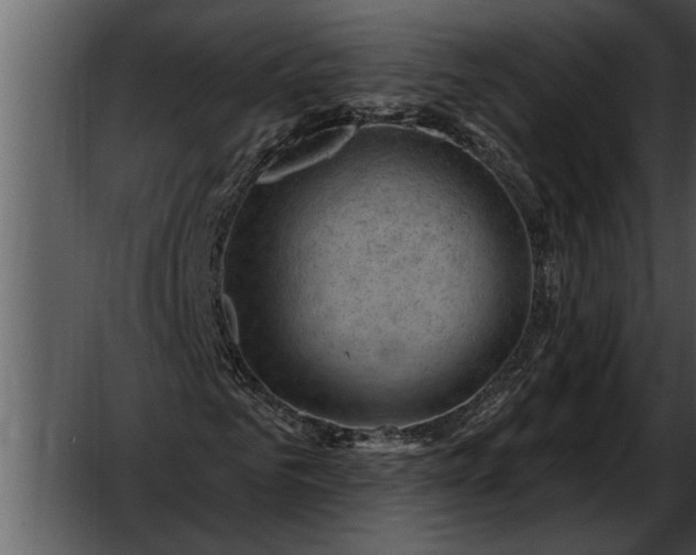 X0000052640961200507160152