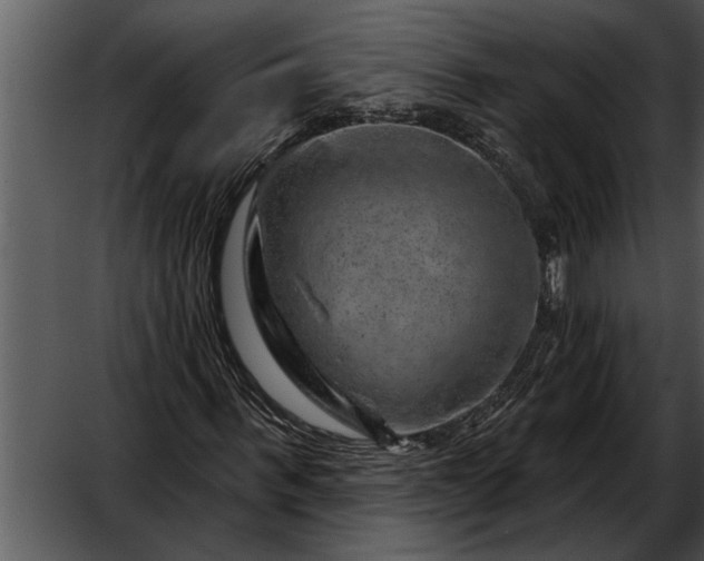 X0000052640963200507160152