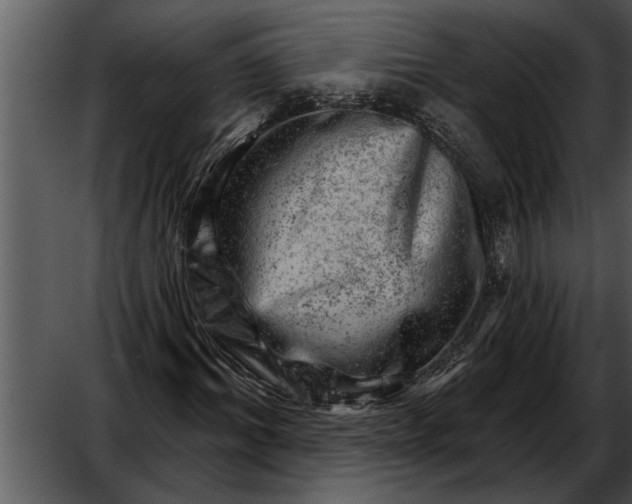 X0000052640964200507160152