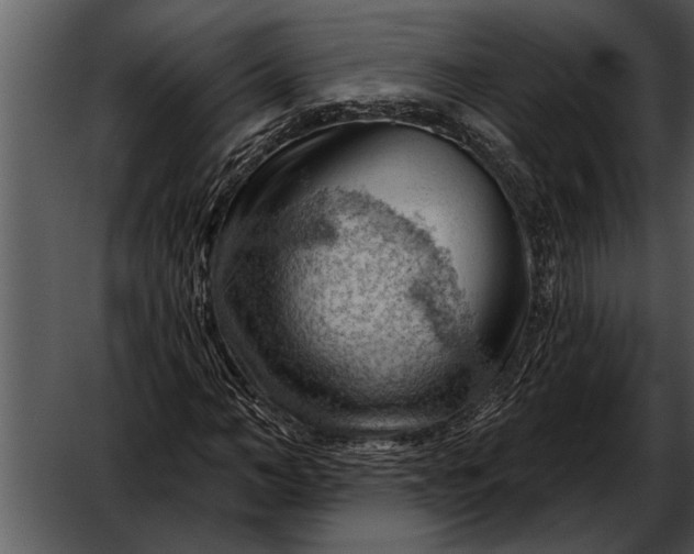 X0000052640966200507160152