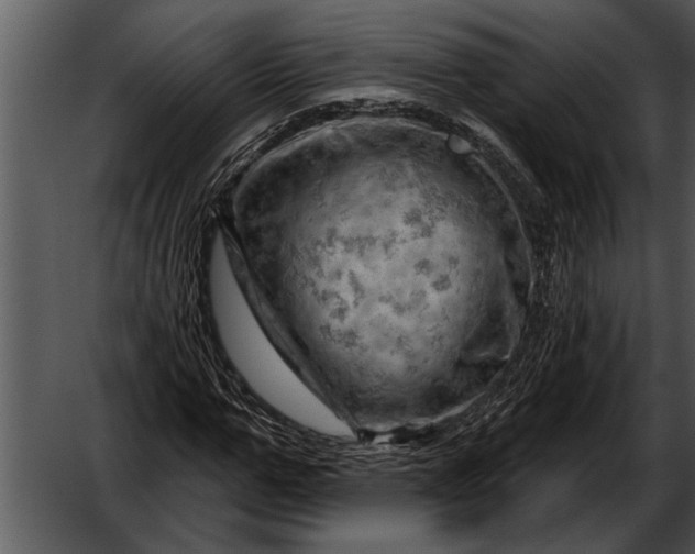 X0000052640967200507160152