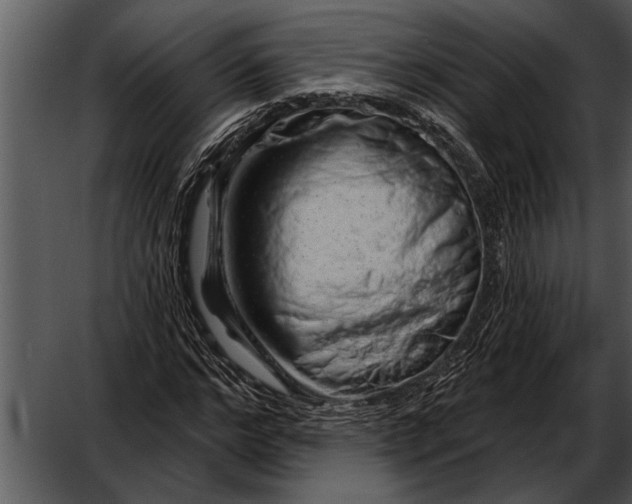 X0000052640968200507160152