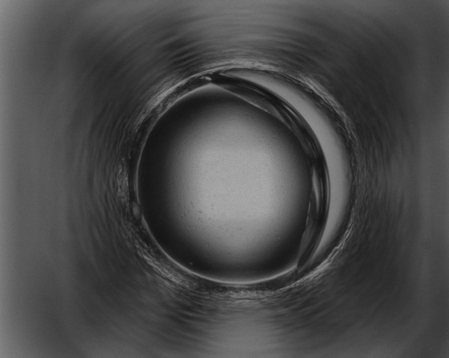 X0000052640969200507160152