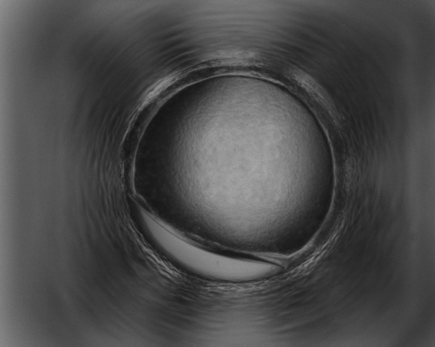 X0000052640970200507160152