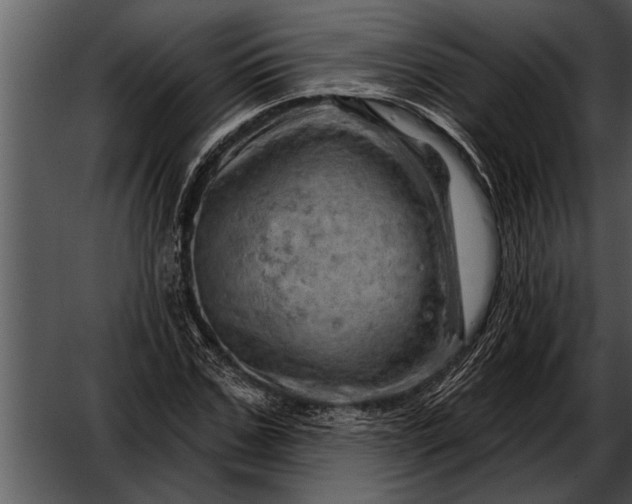 X0000052640971200507160152