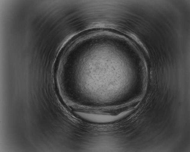 X0000052640972200507160152