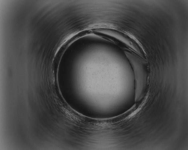 X0000052640973200507160152