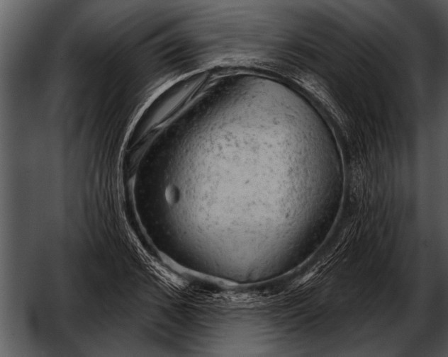 X0000052640976200507160152