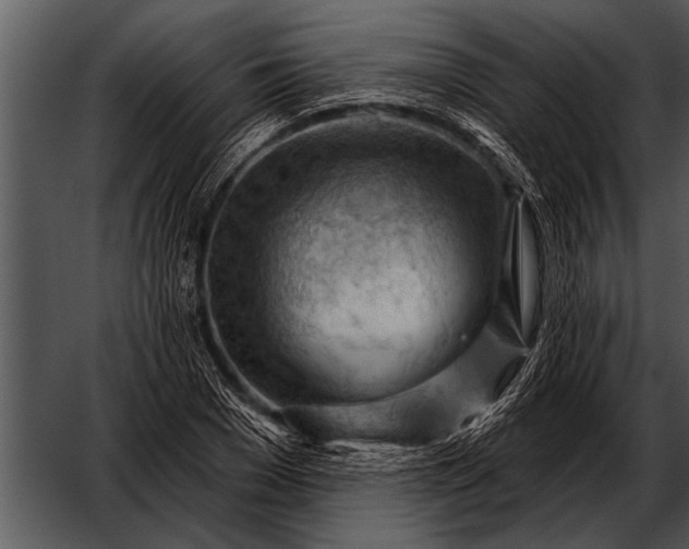 X0000052640977200507160152