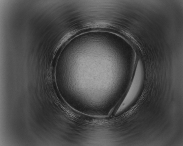 X0000052640978200507160152