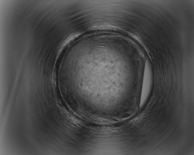 X0000052640979200507160152