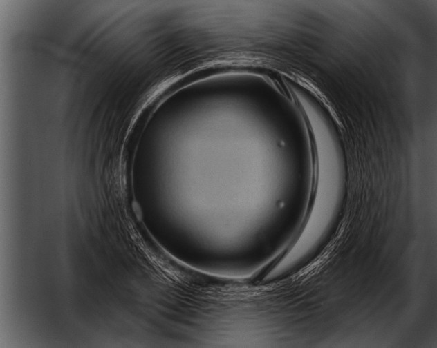 X0000052640981200507160152