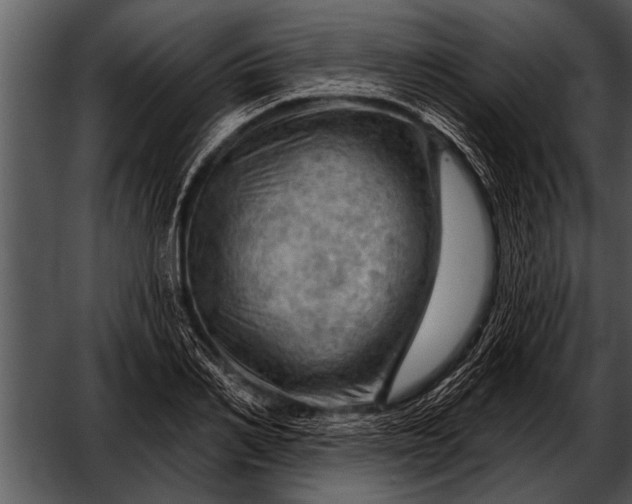 X0000052640982200507160152