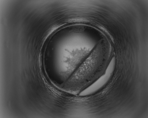 X0000052640983200507160152