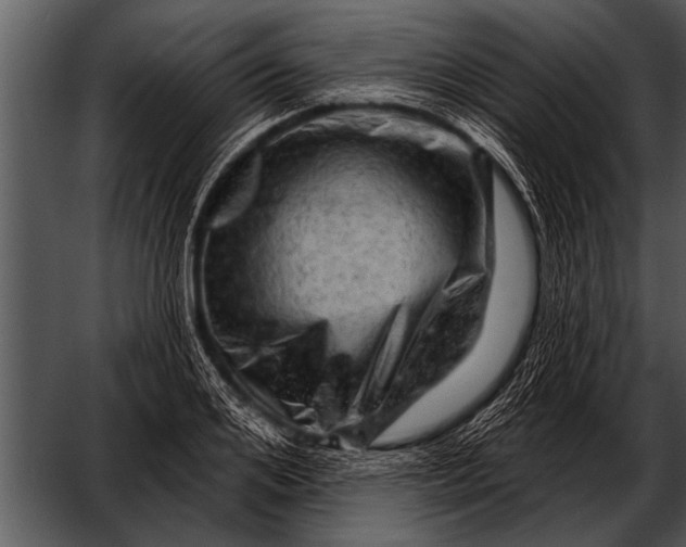 X0000052640984200507160152