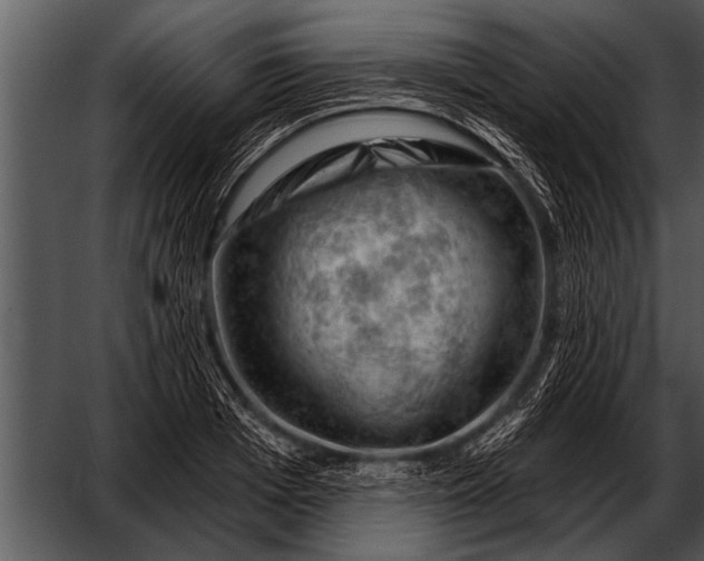 X0000052640985200507160152