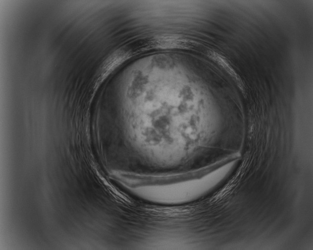 X0000052640986200507160152