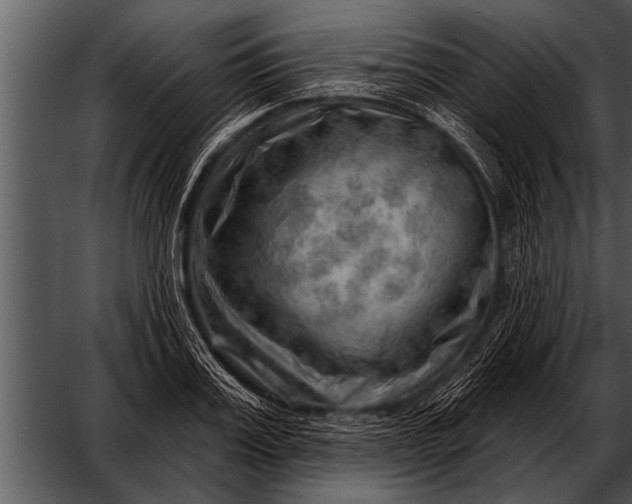 X0000052640987200507160152