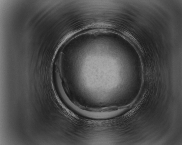 X0000052640989200507160152