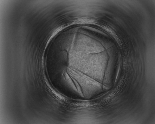 X0000052640990200507160152