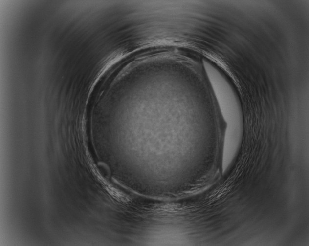 X0000052640991200507160152