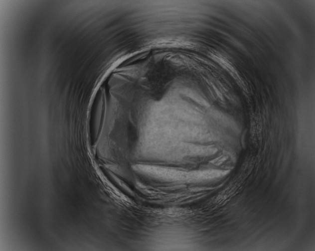 X0000052640992200507160152