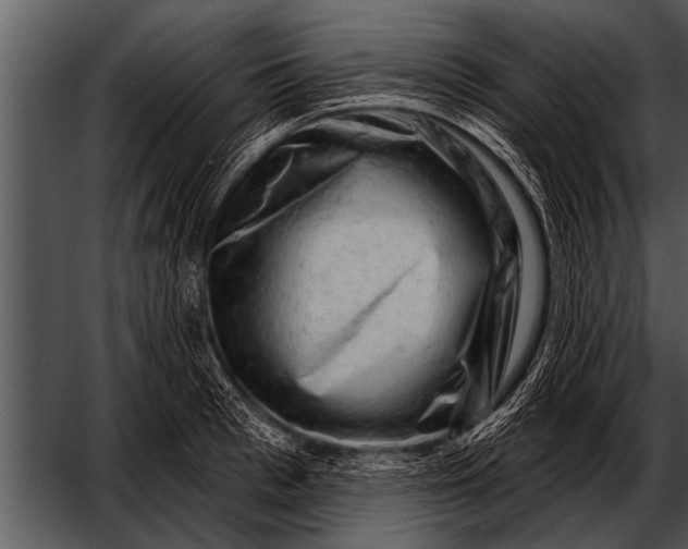 X0000052640993200507160152