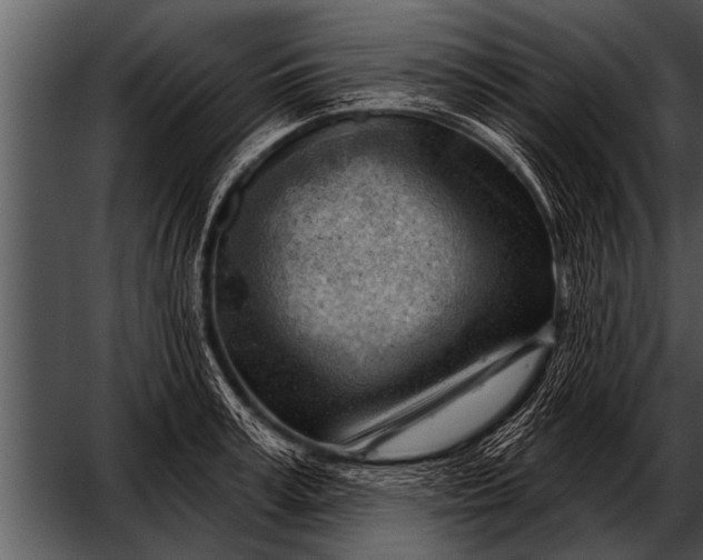 X0000052640995200507160152