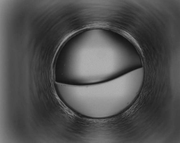 X0000052640996200507160152