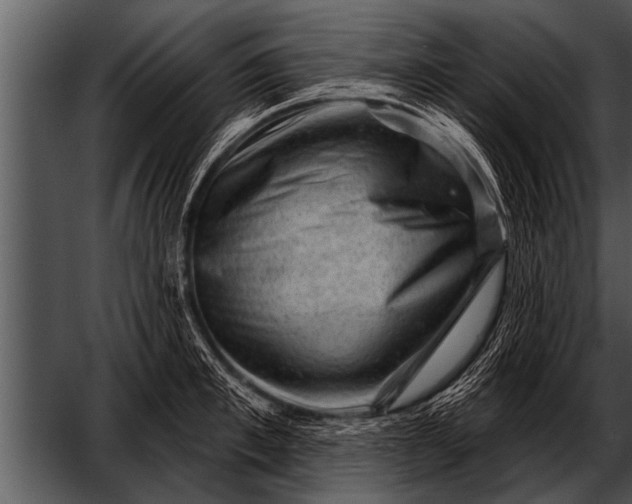 X0000052640997200507160152