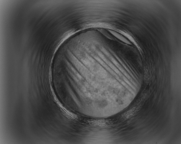 X0000052640999200507160152