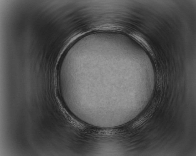 X0000052641000200507160152