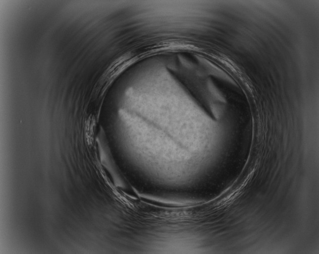 X0000052641001200507160152