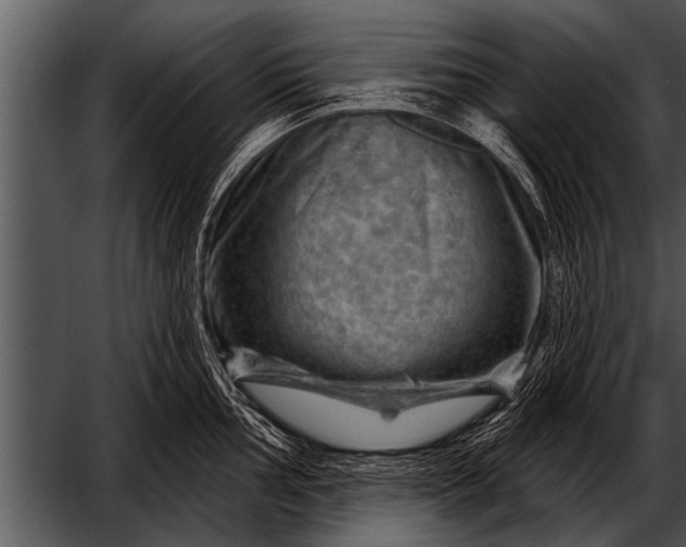 X0000052641002200507160152