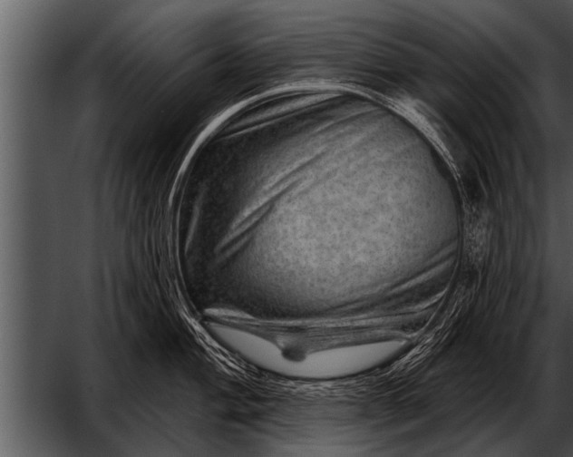 X0000052641004200507160152