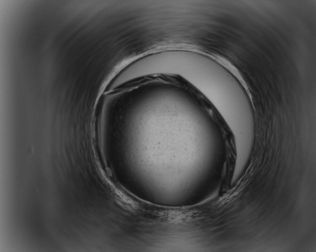 X0000052641005200507160152