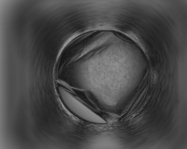 X0000052641006200507160152