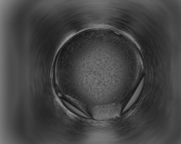 X0000052641007200507160152