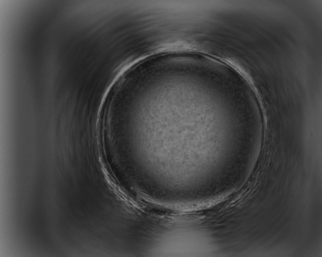 X0000052641008200507160152