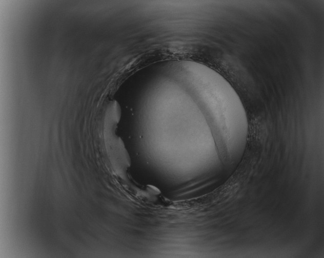 X0000052641009200507160151