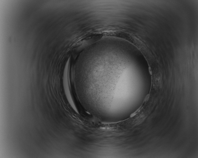 X0000052641010200507160151