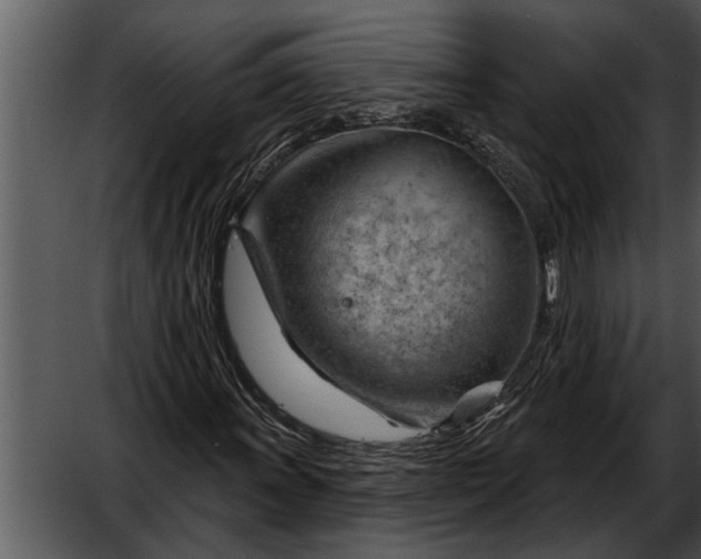 X0000052641011200507160151