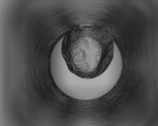 X0000052641012200507160151