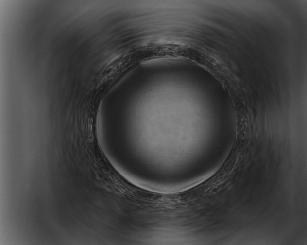 X0000052641013200507160151