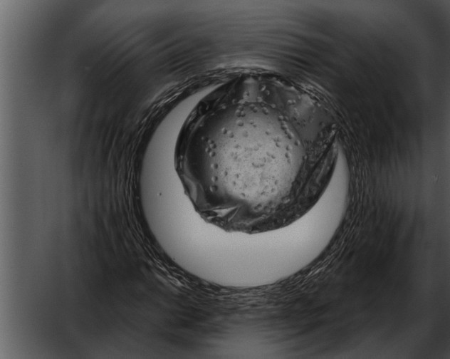 X0000052641014200507160151