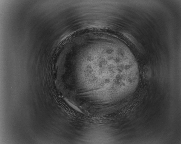 X0000052641015200507160151