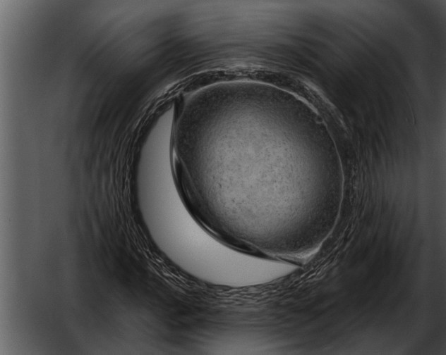 X0000052641016200507160151